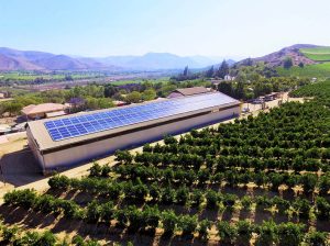 ¿Por qué es rentable abastecer procesos productivos con energía solar fotovoltaica?