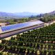 ¿Por qué es rentable abastecer procesos productivos con energía solar fotovoltaica?