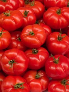 Plantas de tomate injertadas, más vigorosas y resistentes