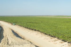 Plataforma se renueva tras cumplir 12 años