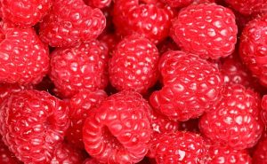 Frambuesa, un berry consolidado en México