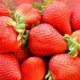 Francia: Desarrollan nueva película ecológica para la conservación de las fresas