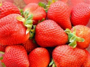 Buen año para la fresa peruana gracias a destinos atípicos