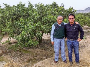Los Fukuda y la Satsuma: una historia de amor