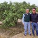 Los Fukuda y la Satsuma: una historia de amor