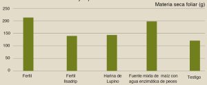 “Peruanos y chilenos tenemos que cuidar nuestros mercados”