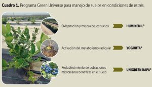 “Arándanos: Manejo de suelos ácidos y mejoradores del flujo de nutrientes para superar situaciones de estrés”