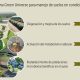 “Arándanos: Manejo de suelos ácidos y mejoradores del flujo de nutrientes para superar situaciones de estrés”