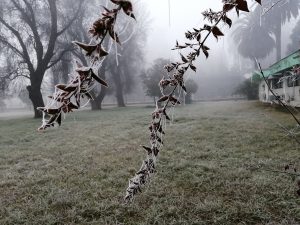 Lluvias, nieve y frío de junio no son reflejo de un regreso a la normalidad climática