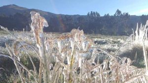 Heladas afectan producción agrícola del departamento de Nariño