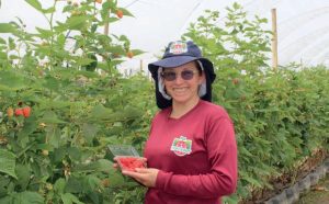Hortifrut Colombia,  con el firme objetivo de exportar arándanos todo el año