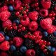 Gracias a inversiones en China y México e inauguración de packing de arándanos en Asia, Hortifrut duplicó su EBITDA