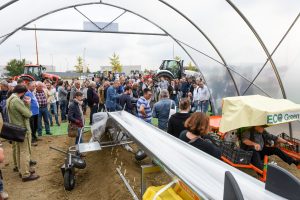International Asparagus Days, la primera edición fue todo un éxito