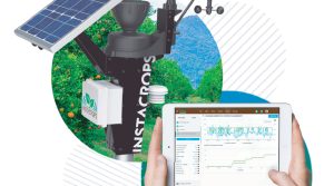 Lanzan solución tecnológica para monitorear la temperatura en el campo