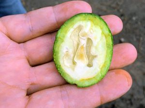 Si el río suena… nueces trae y de los suelos nos debemos preocupar