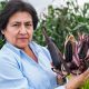 Gobierno de Chile premiará a investigadora peruana por innovación en maíz morado