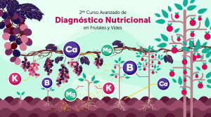 Curso abordará cómo llevar los resultados del diagnóstico nutricional a resultados en el campo