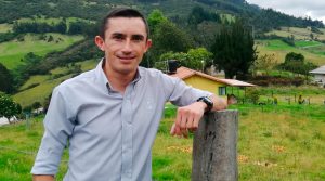 Importancia del balance hormonal en cultivos ornamentales