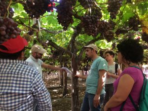 Asesores italianos realizan gira técnica por Chile