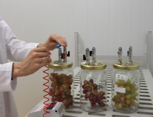 Trabajan en un sistema predictivo que determinará la fecha límite de comercialización del producto en destino