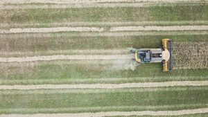 Agrostart, el programa que acelerará el ecosistema agtech de la región