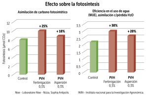 La revolución de los péptidos vegetales en la agricultura moderna