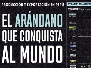 El arándano conquista al mundo