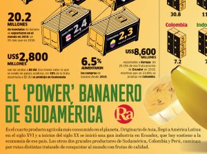 El ‘power’ bananero de Sudamérica