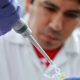 Inia e IRD de Francia acuerdan promoción de la innovación agrícola entre pequeños productores