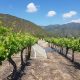 La ruta para enfrentar los desafíos de la próxima década en el sector agroalimentario
