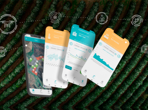 Instacrops brinda apoyo personalizado a productores para facilitar la incorporación de tecnología en los campos