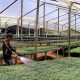 Antioquia incrementará su producción agrícola con invernaderos modernos