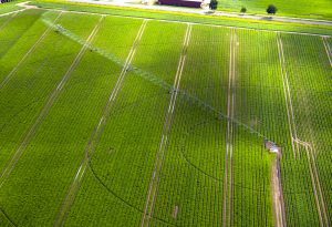 Avanzada tecnología en maquinaria agrícola y equipos de riego se reunirán en EIMA Internacional