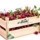 Novedosos filtros absorben etileno en cereza y otras frutas