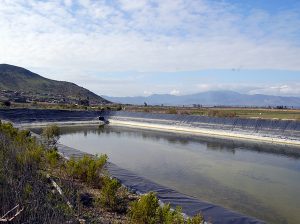 Estrategias agronómicas para enfrentar la sequía en frutales