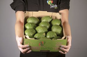 Colombia obtiene primera certificación Fair Trade USA para aguacate Hass