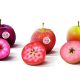 Avanza en Chile el cultivo de las variedades de manzanas de pulpas de colores Kissabel®