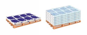 SmartPac, una solución para extender la poscosecha del arándano