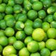 Envíos de limón Tahití saltan y se convierte en la tercera fruta más exportada de Colombia