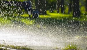 Menos producción y más enfermedades: los efectos del exceso de lluvia en la agricultura colombiana