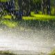 Menos producción y más enfermedades: los efectos del exceso de lluvia en la agricultura colombiana