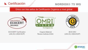 NORDOX® 75 WG,  una herramienta efectiva en cultivos de exportación