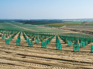 Perú se prepara para un nuevo salto en riego tecnificado