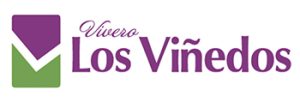 Vivero Los Viñedos inaugurará moderno laboratorio para cultivo ‘in vitro’ de cerezas y vid
