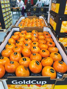 Caída de 42 % en exportaciones de mandarina en lo que va de la temporada