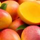Congreso internacional de mango en su modalidad virtual se realiza este 5 y 6 de noviembre