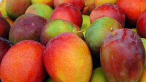 Exportaciones de mango de Latinoamérica a Estados Unidos continúan al alza