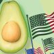 En mercados contraídos, EE UU saca la cara por la palta peruana
