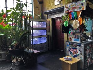 “Minigranjas” permiten cultivar hongos en tiendas comerciales