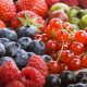Con la incorporación de nuevos ejecutivos, Hortifrut asume nuevos desafíos para distintas áreas de la empresa